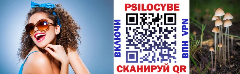 Псилоцибиновые грибы прущие грибы  ОМГ ОМГ как войти  Приморск 